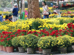 Ảnh bìa bài viết 341936