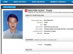 Ảnh bìa bài viết 341855