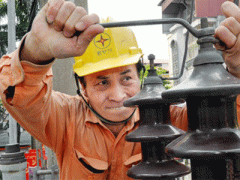 Ảnh bìa bài viết 342114