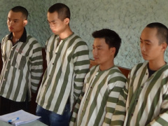 Ảnh bìa bài viết 342095