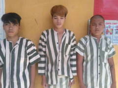 Ảnh bìa bài viết 341970