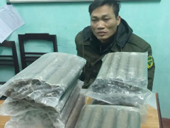 Ảnh bìa bài viết 342047