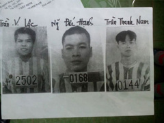 Ảnh bìa bài viết 341958