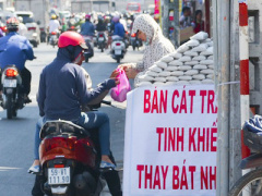 Ảnh bìa bài viết 342185