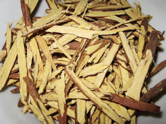 Ảnh bìa bài viết 342227