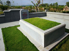 Ảnh bìa bài viết 342338