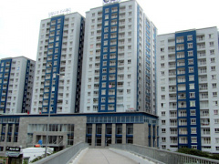 Ảnh bìa bài viết 342522