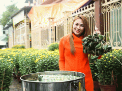 Ảnh bìa bài viết 342638