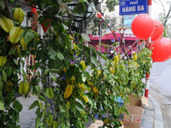 Ảnh bìa bài viết 342720