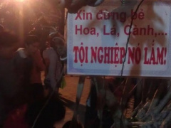 Ảnh bìa bài viết 342860