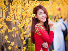 Ảnh bìa bài viết 342801