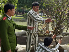 Ảnh bìa bài viết 343022