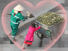 Ảnh bìa bài viết 343176