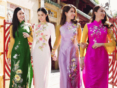 Ảnh bìa bài viết 343166
