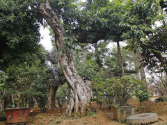 Ảnh bìa bài viết 343191