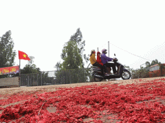 Ảnh bìa bài viết 343264