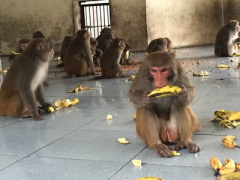 Ảnh bìa bài viết 343304