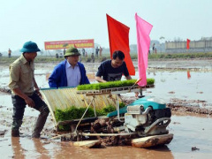 Ảnh bìa bài viết 343512