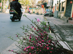 Ảnh bìa bài viết 343468
