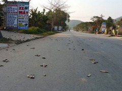 Ảnh bìa bài viết 343749