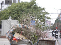 Ảnh bìa bài viết 343827