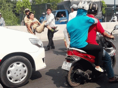 Ảnh bìa bài viết 343925