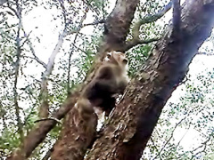 Ảnh bìa bài viết 344202