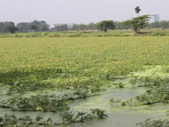 Ảnh bìa bài viết 344261