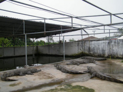 Ảnh bìa bài viết 344336
