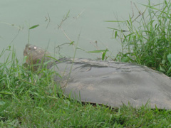 Ảnh bìa bài viết 344471