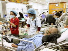 Ảnh bìa bài viết 344507