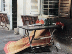 Ảnh bìa bài viết 344930