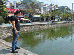 Ảnh bìa bài viết 344927