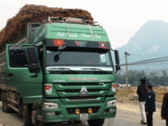 Ảnh bìa bài viết 344939