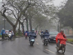 Ảnh bìa bài viết 344954