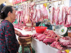 Ảnh bìa bài viết 345219