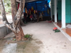 Ảnh bìa bài viết 345214