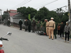 Ảnh bìa bài viết 345348