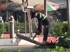Ảnh bìa bài viết 345358