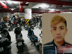 Ảnh bìa bài viết 345681
