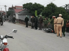 Ảnh bìa bài viết 345749