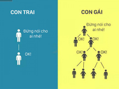 Ảnh bìa bài viết 345825