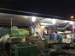 Ảnh bìa bài viết 345772