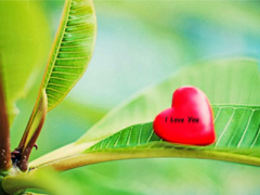 Ảnh bìa bài viết 345774