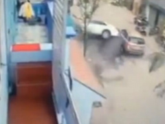 Ảnh bìa bài viết 346135