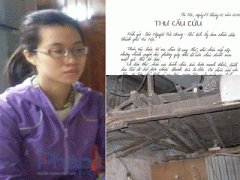 Ảnh bìa bài viết 346406
