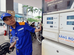 Ảnh bìa bài viết 346616