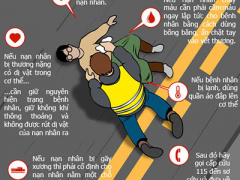 Ảnh bìa bài viết 346499