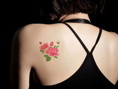 Ảnh bìa bài viết 346767