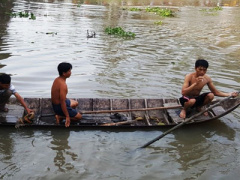 Ảnh bìa bài viết 346805